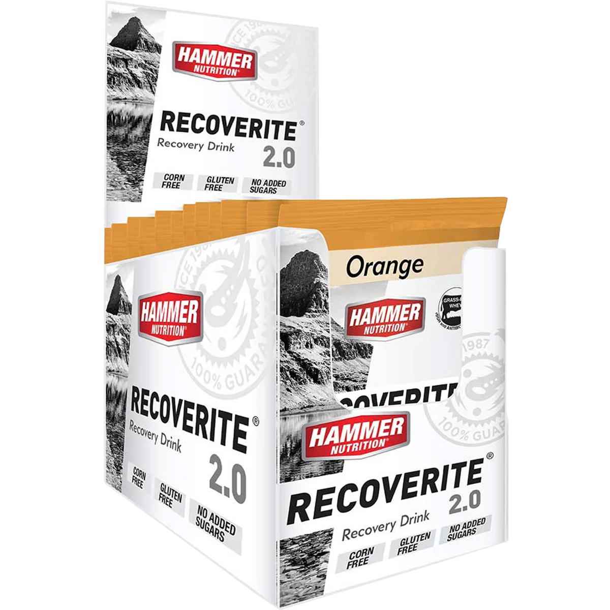 Recoverite 2.0 Single Serving - Styles Love