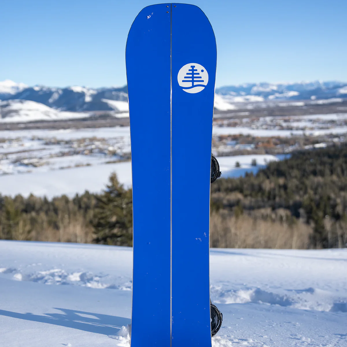 Family Tree Hometown Hero Splitboard - Styles Love