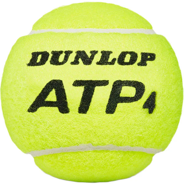 ATP Extra Duty - 3 Ball Can - Styles Love