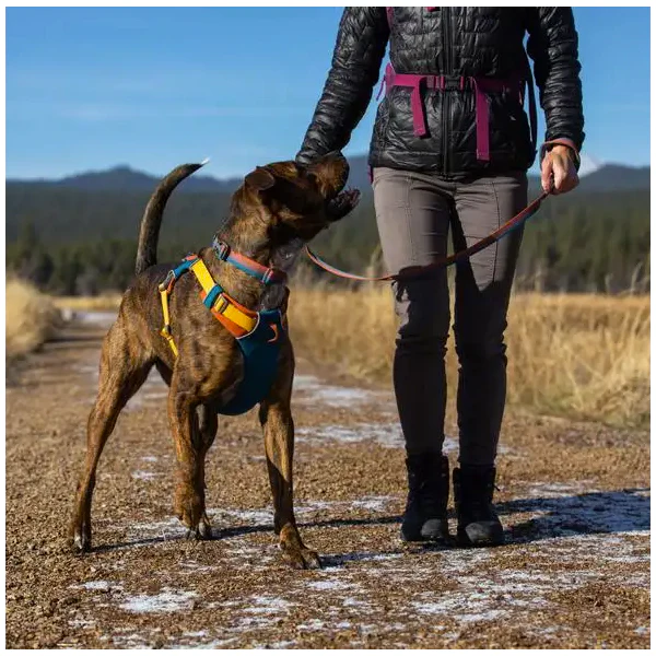 Front Range Harness - Styles Love