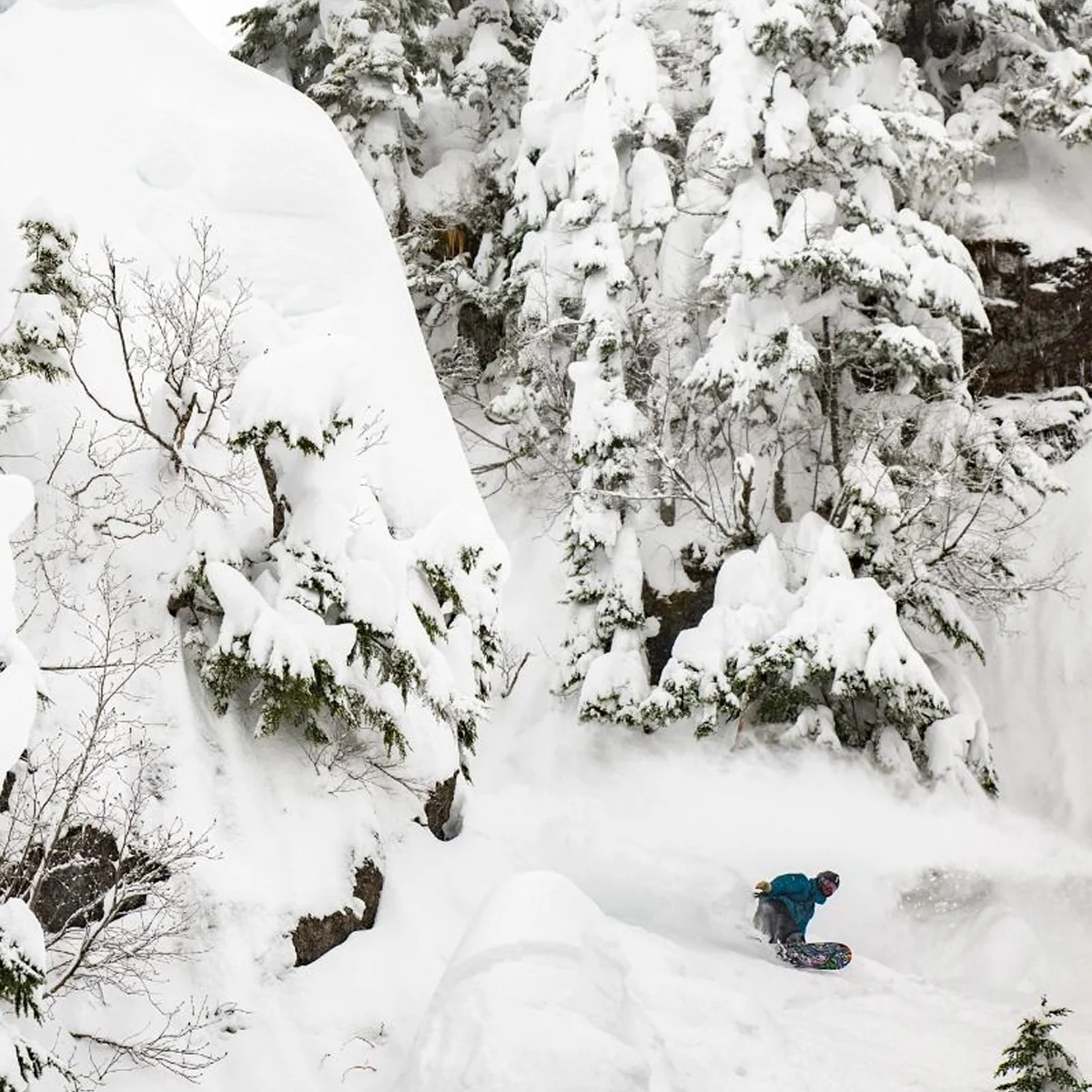 Jamie Lynn - Styles Love