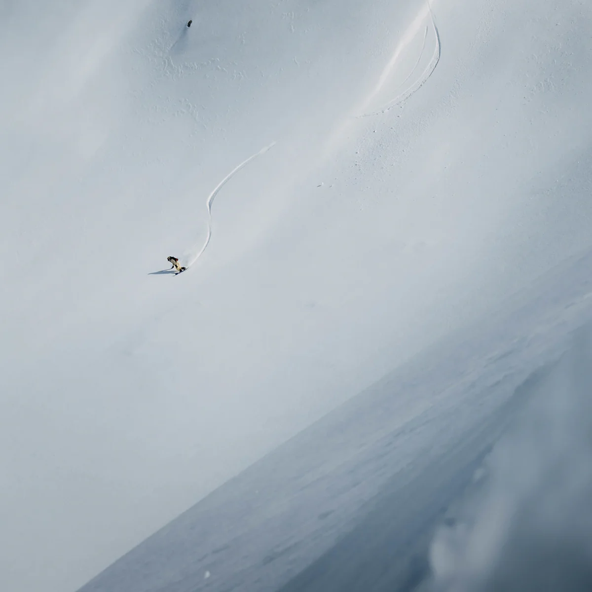 Family Tree Hometown Hero Splitboard - Styles Love