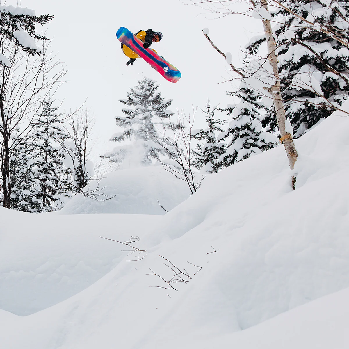 Family Tree Hometown Hero Camber - Styles Love