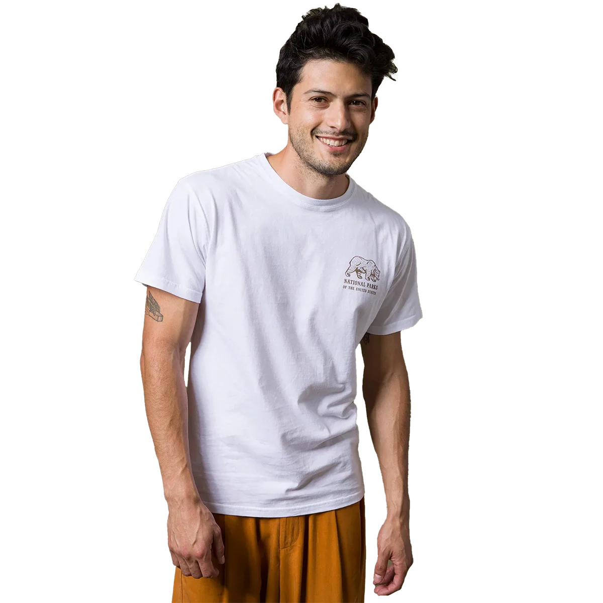 National Parks Pictograms Tee - Styles Love