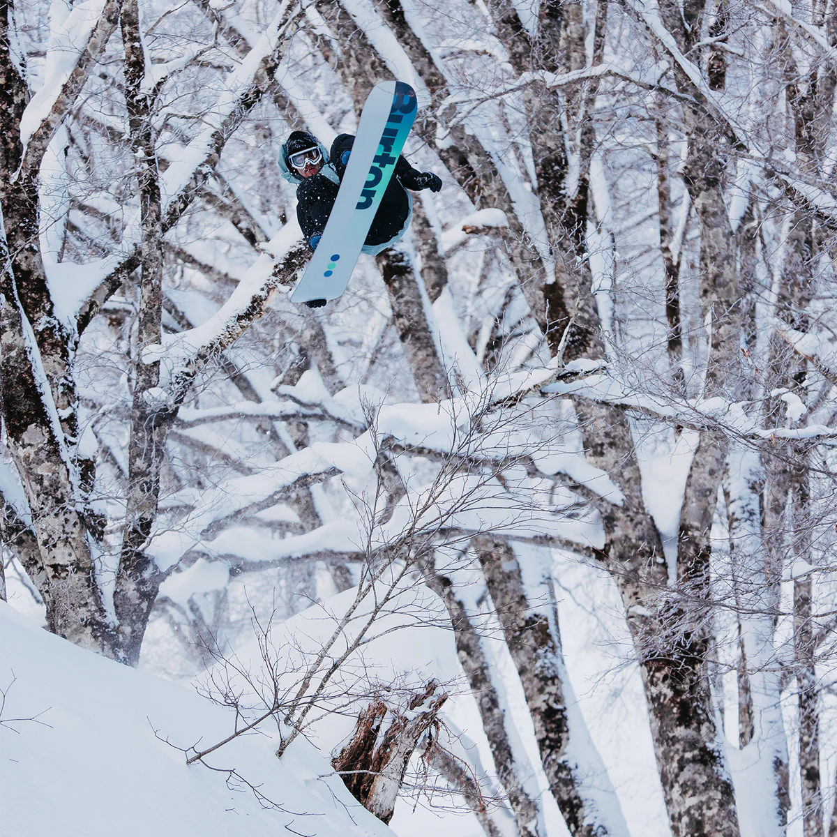 Custom Flying V - Styles Love