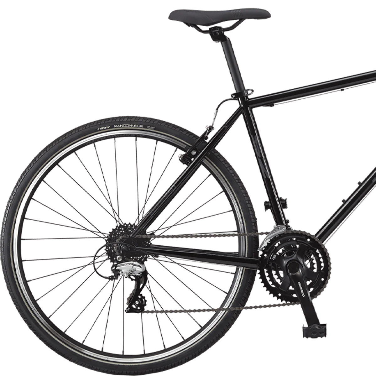 Coda S2 - Styles Love