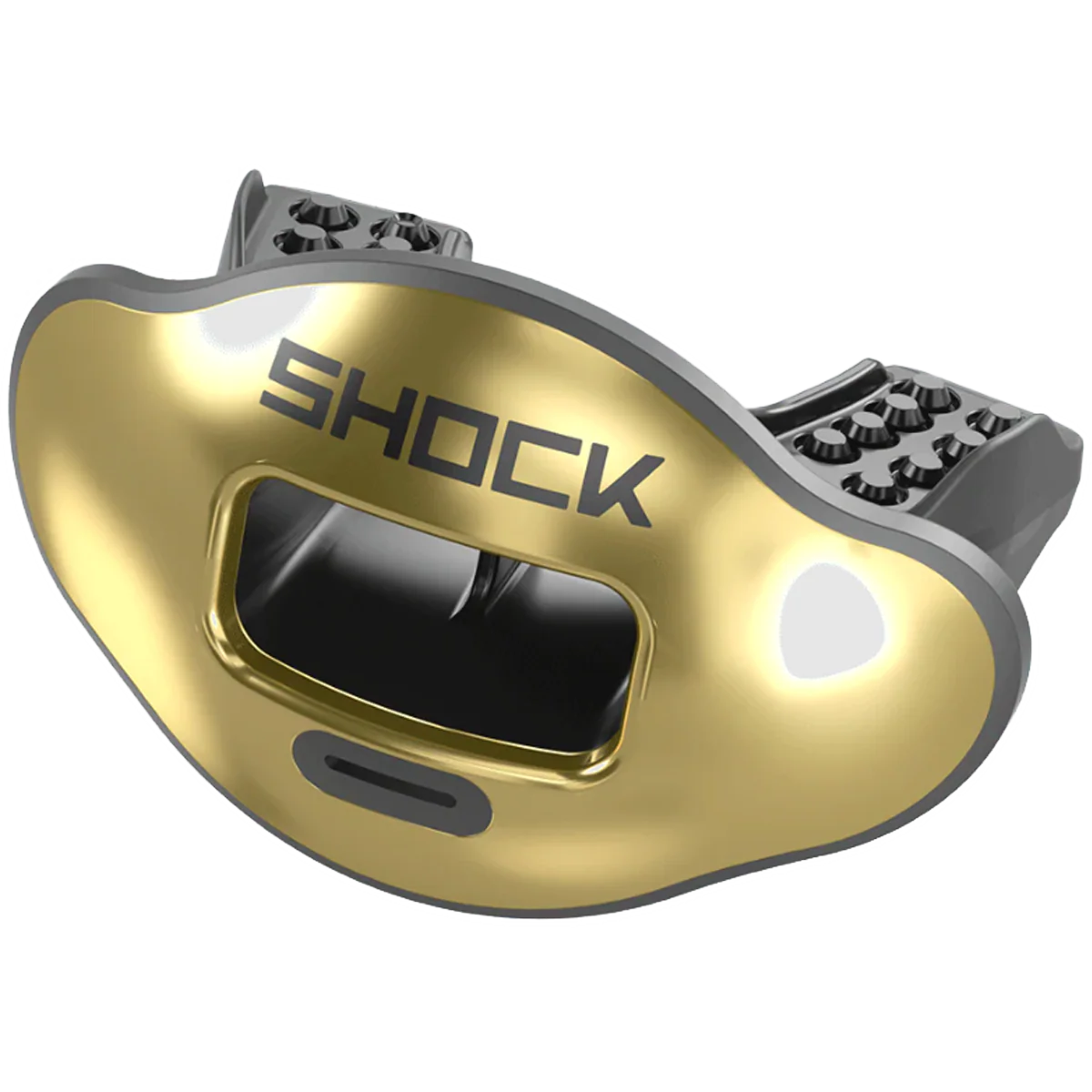 Max AirFlow Lip Guard Chrome - Styles Love