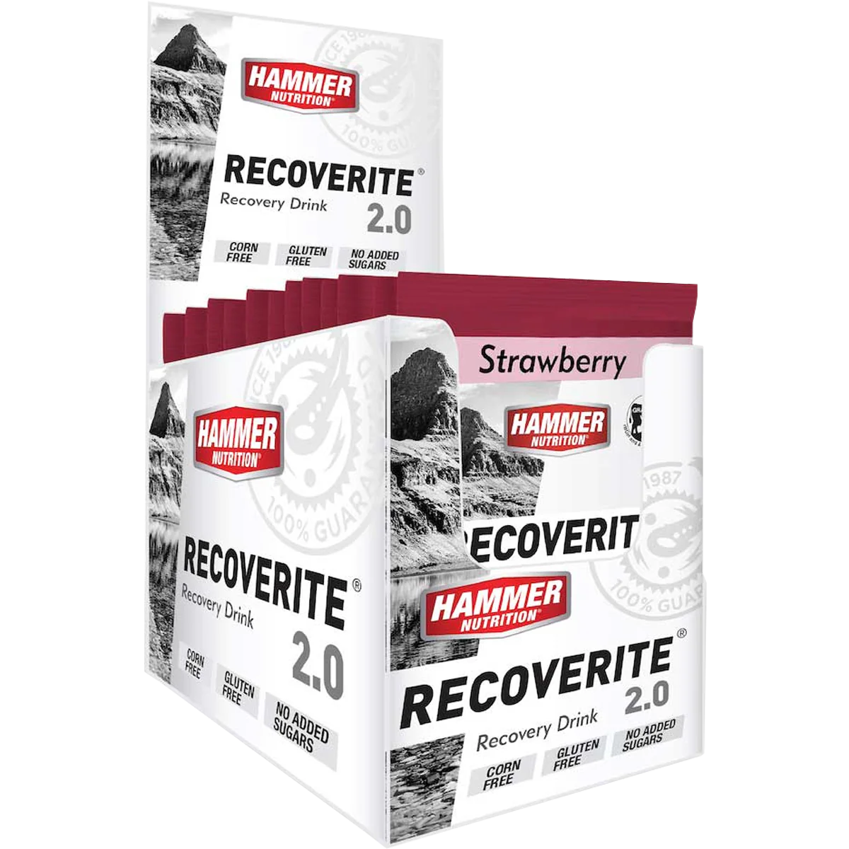 Recoverite 2.0 Single Serving - Styles Love
