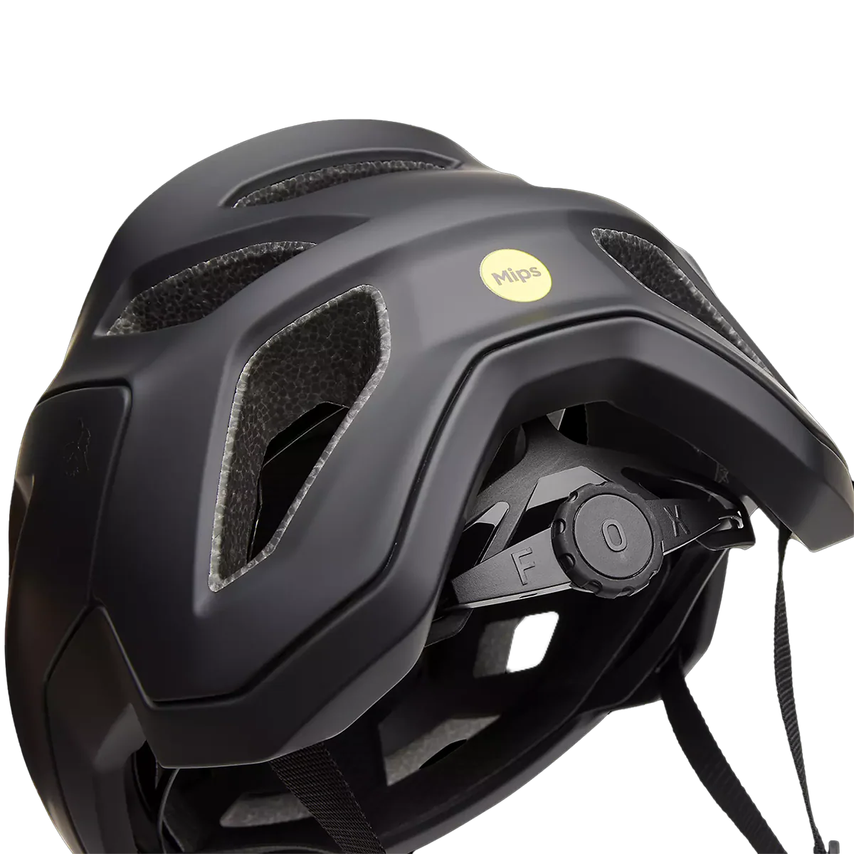 Speedframe - Styles Love