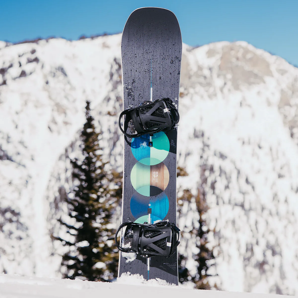 Custom Camber - Styles Love