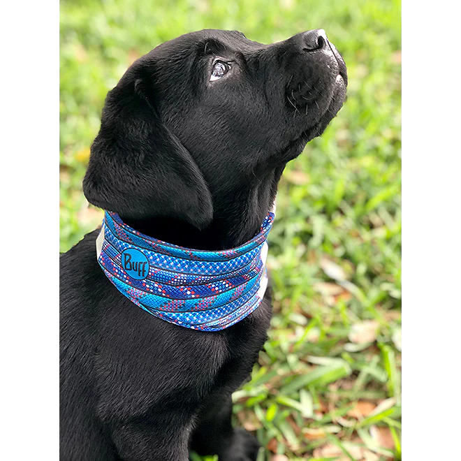 Dog Neckwear - Styles Love