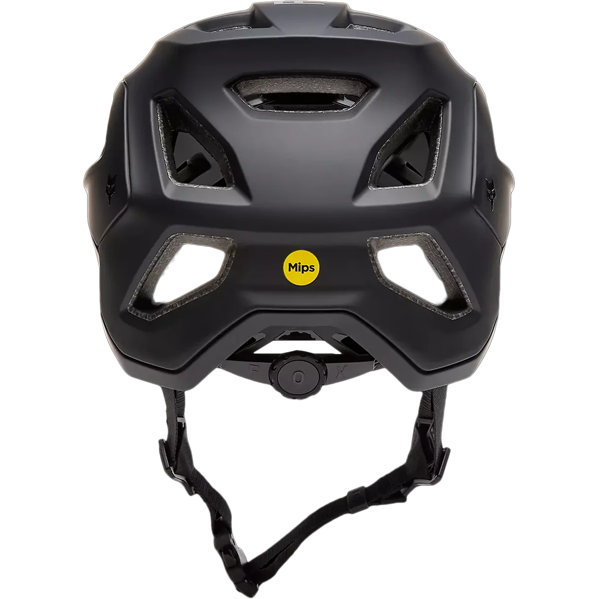 Speedframe - Styles Love