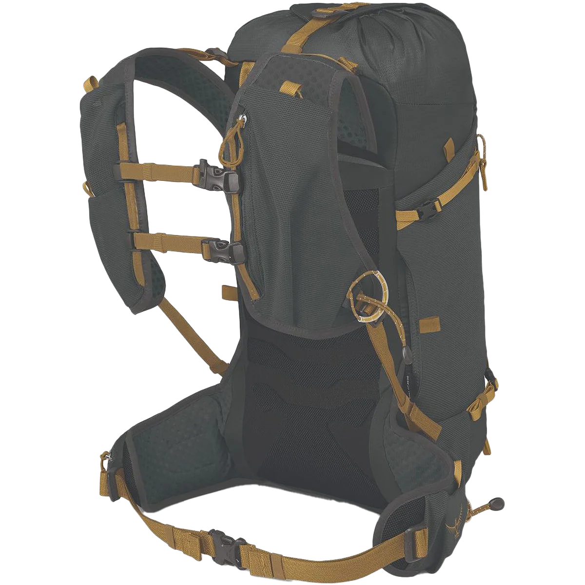 Talon Velocity 20 - Styles Love