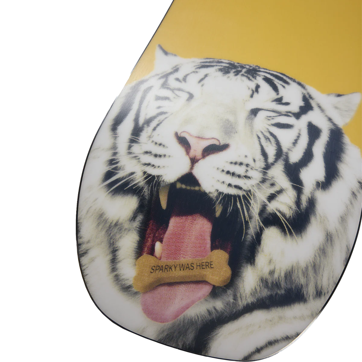 Process Camber - Styles Love