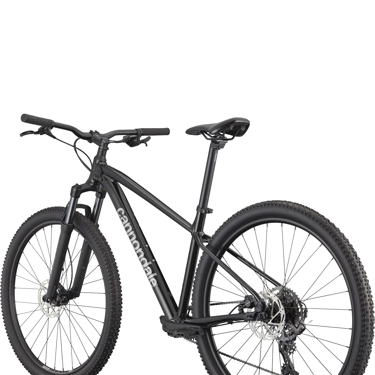 Trail 2 - Styles Love