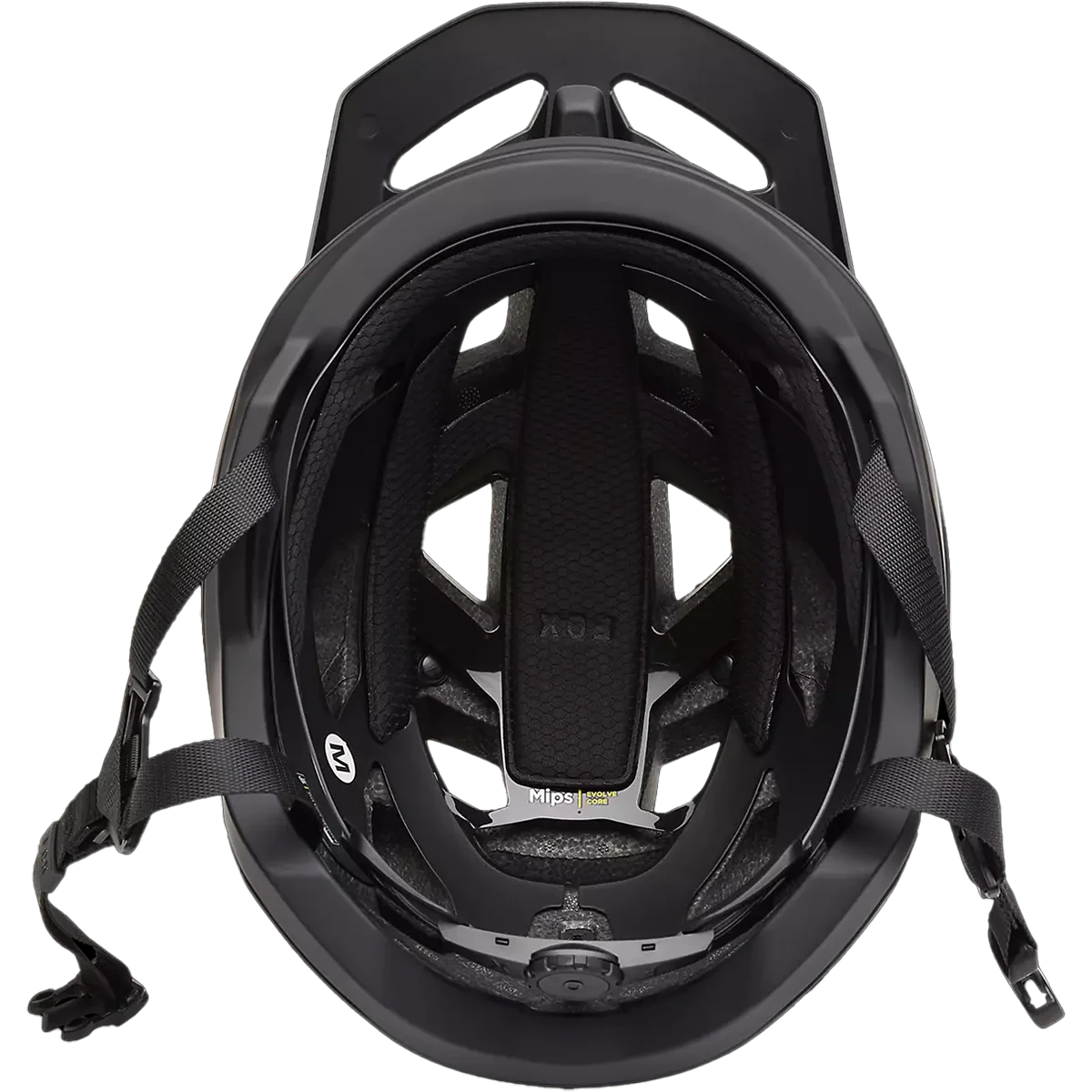 Speedframe - Styles Love