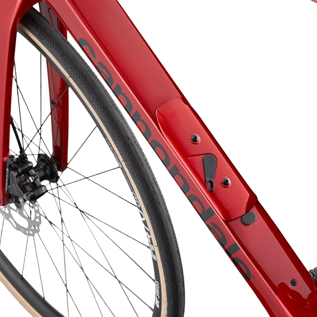 Synapse Carbon 4 - Styles Love