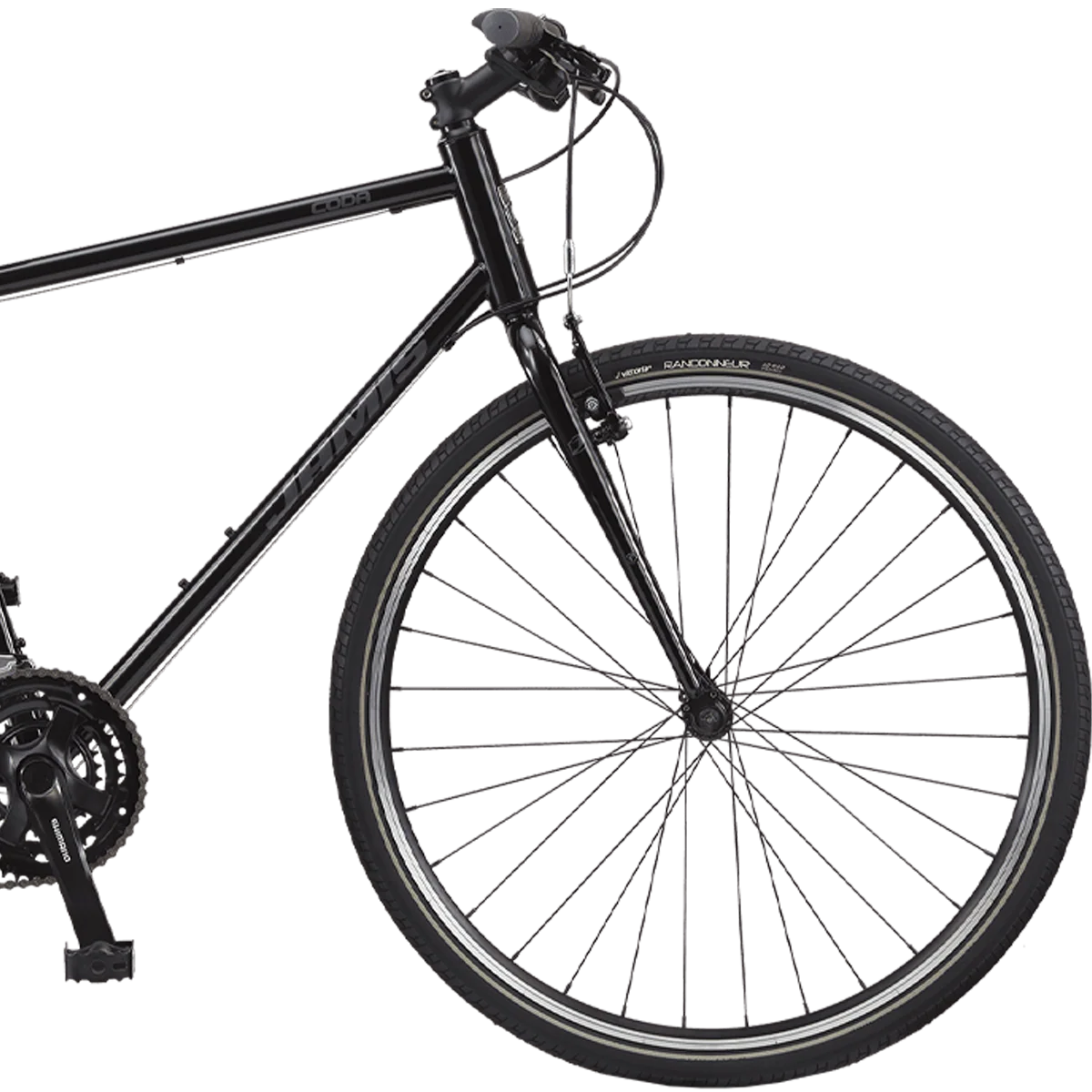 Coda S2 - Styles Love