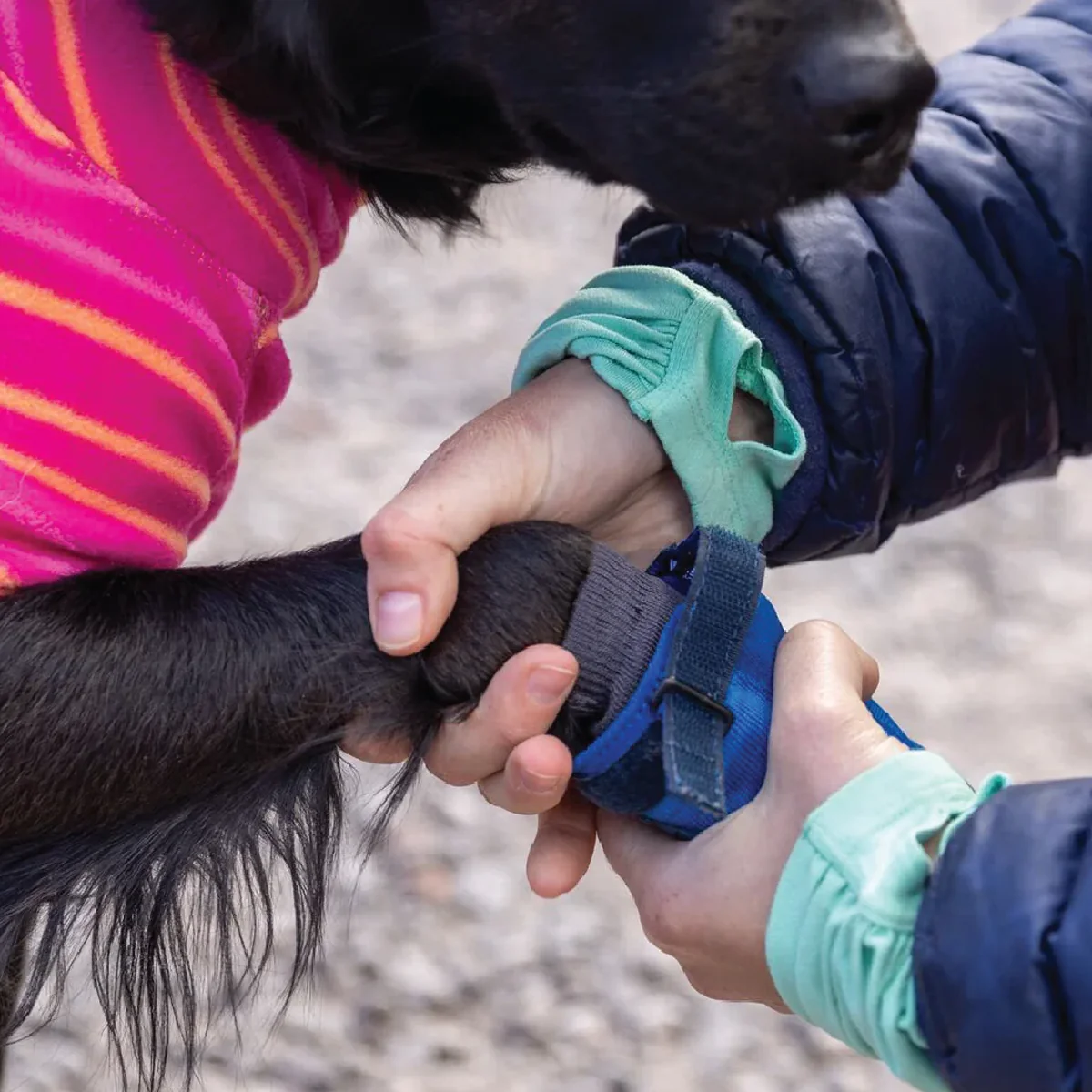 Hi and Light Trail Shoes - Styles Love