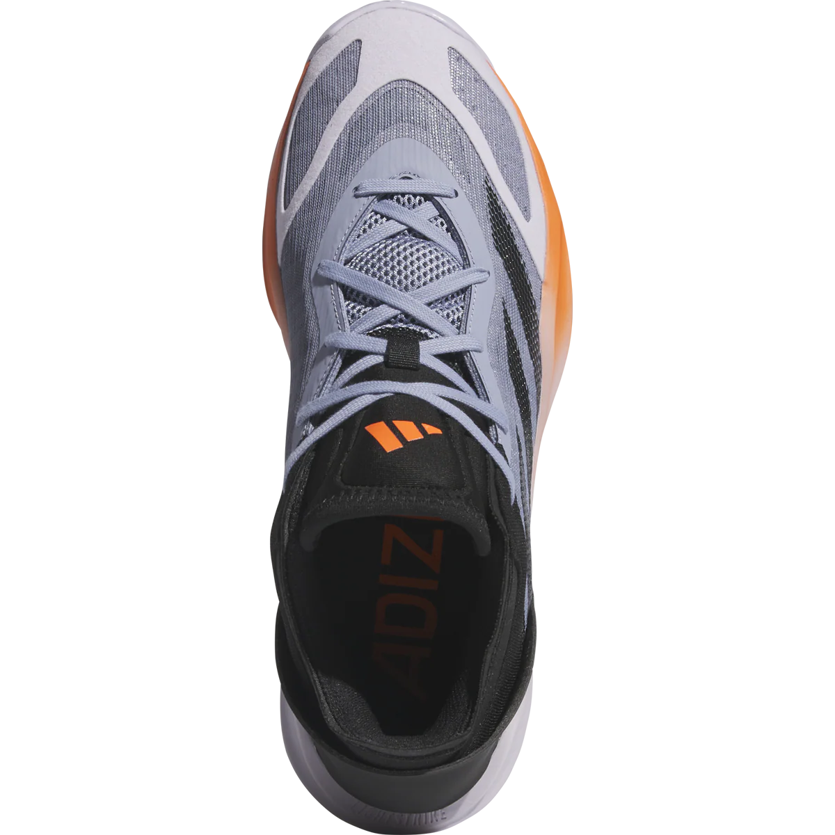 Adizeo Select 2.0 - Styles Love