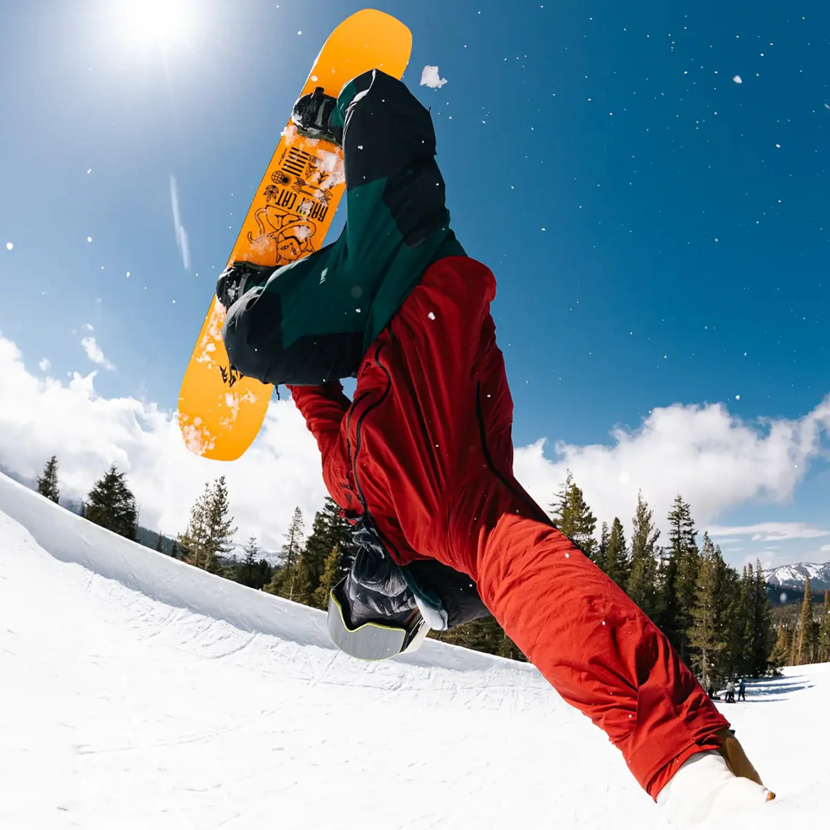 Rally Cat - Styles Love