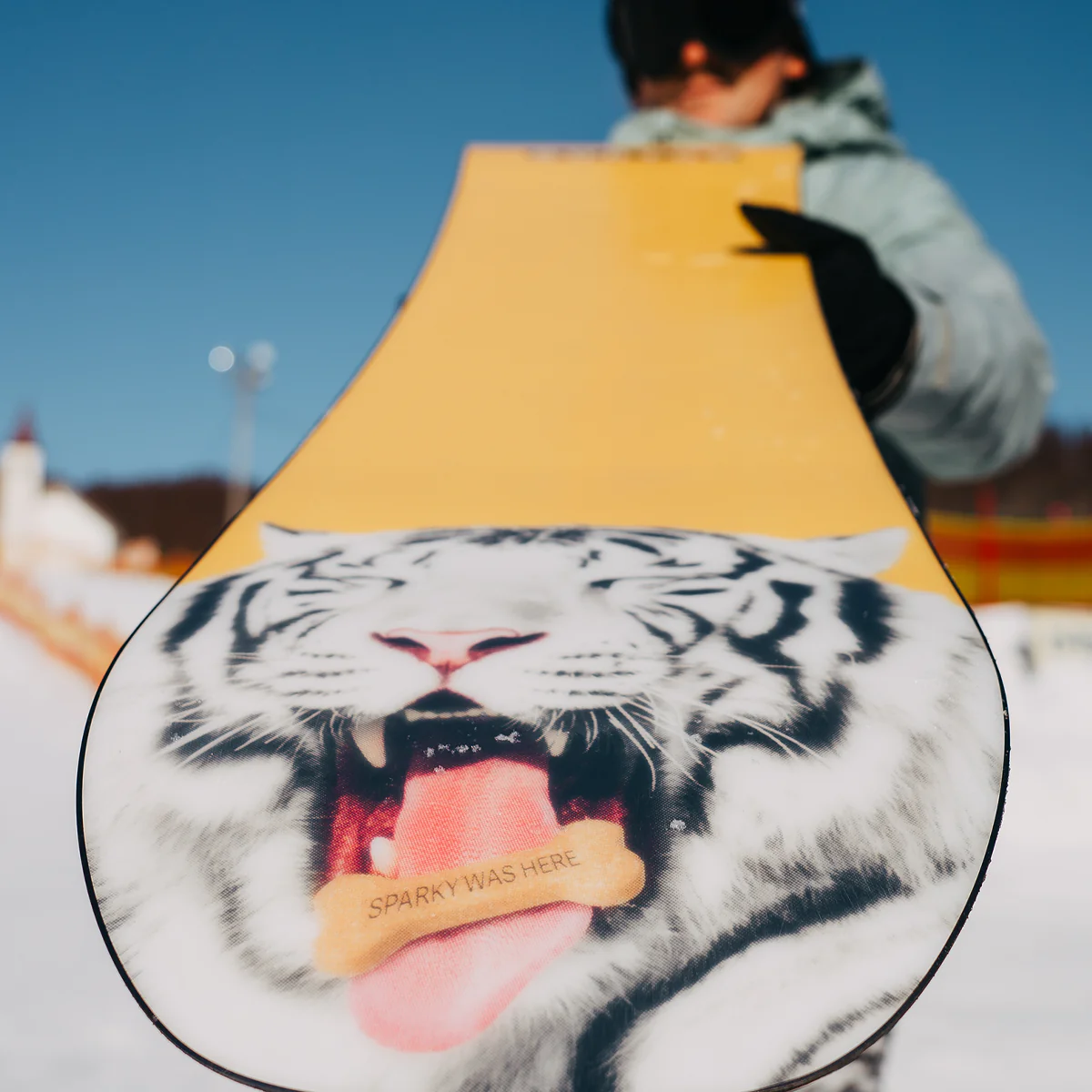 Process Camber - Styles Love