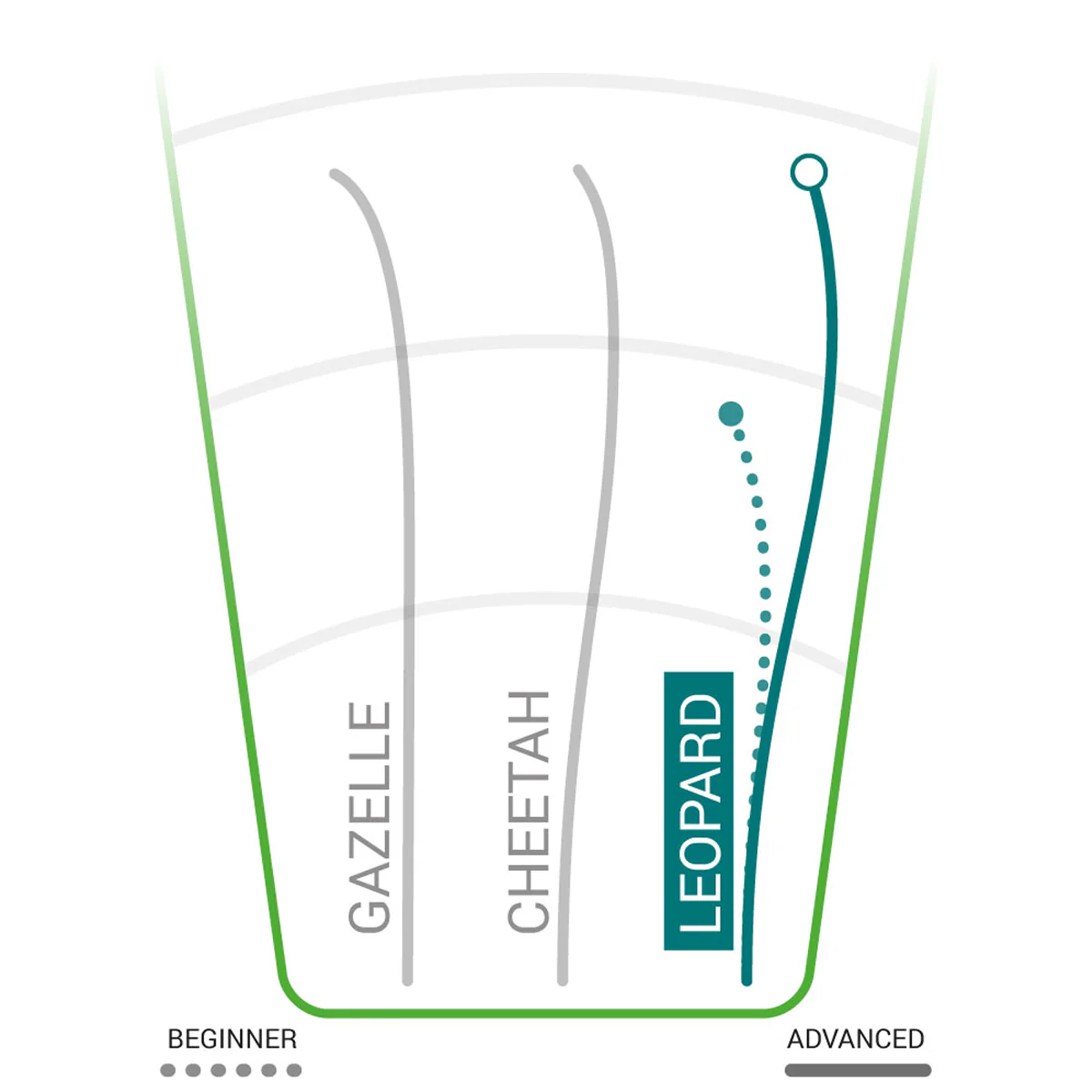 Star Leopard Fairway Driver - Styles Love